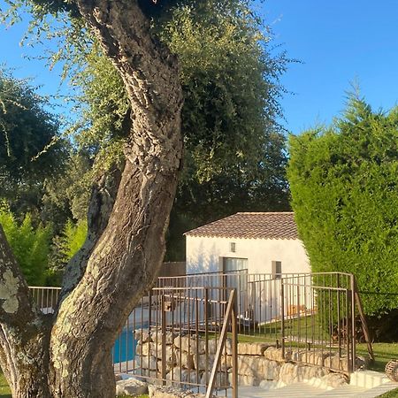 Bed and Breakfast Le Cabanon de Val Gassin Exterior foto
